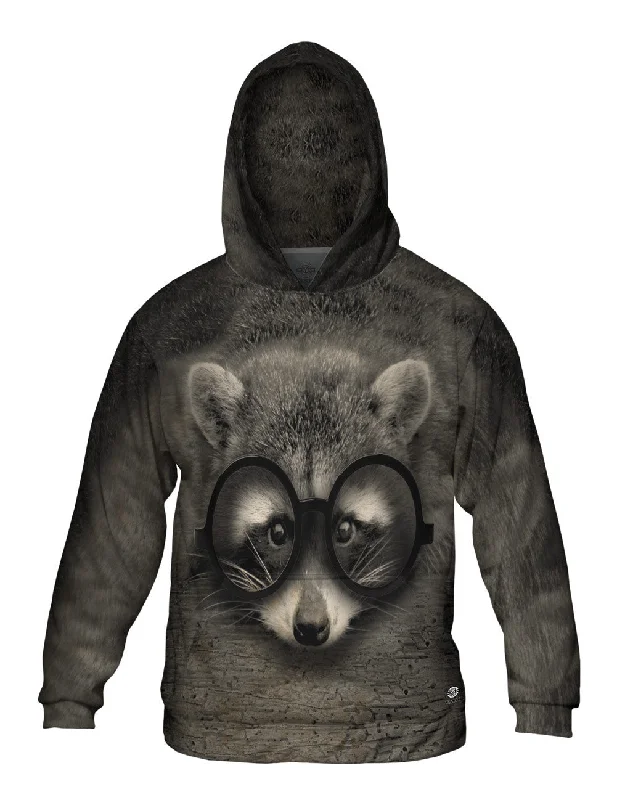 Year-End Clearance Mr Raccoon