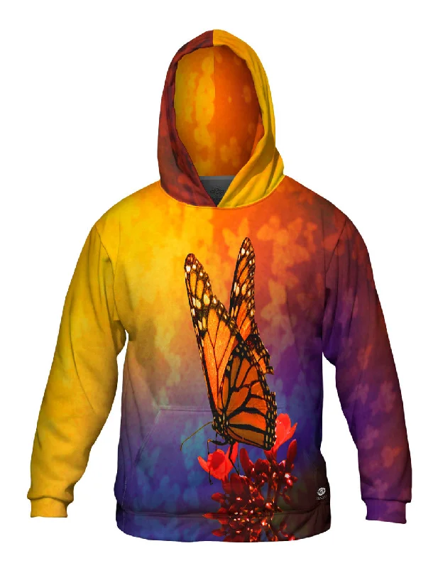 Price Cut Rainbow Butterfly