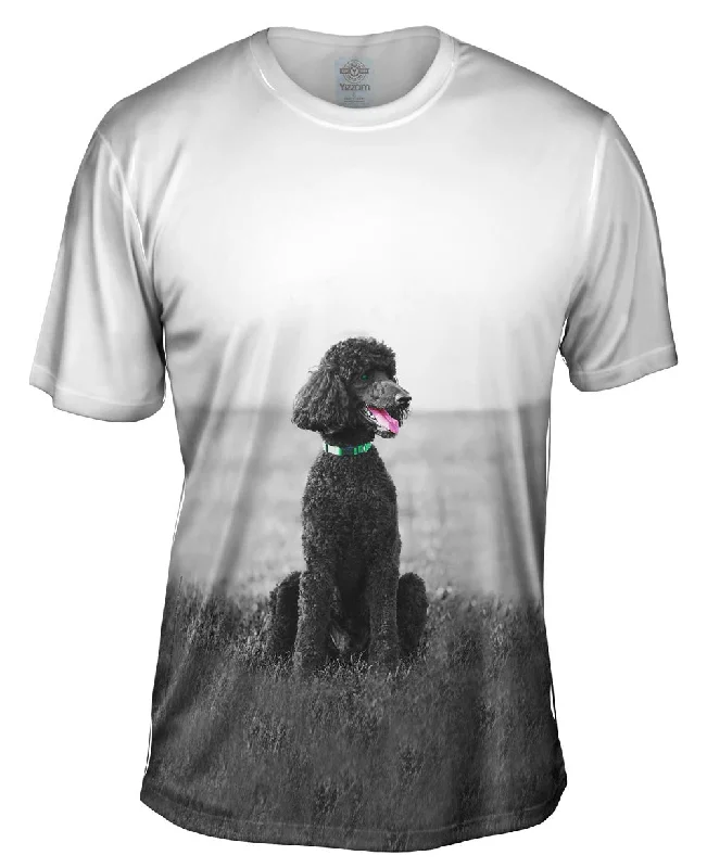 Make Your Weekend Count with Savings 50S Poodle