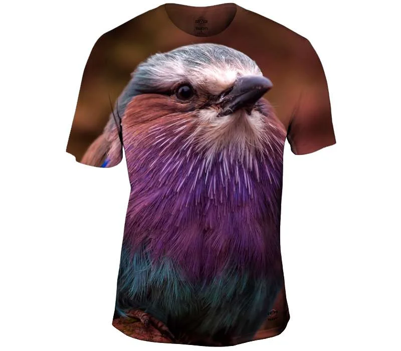 Huge Discounts A Plump Lilac Breasted Roller