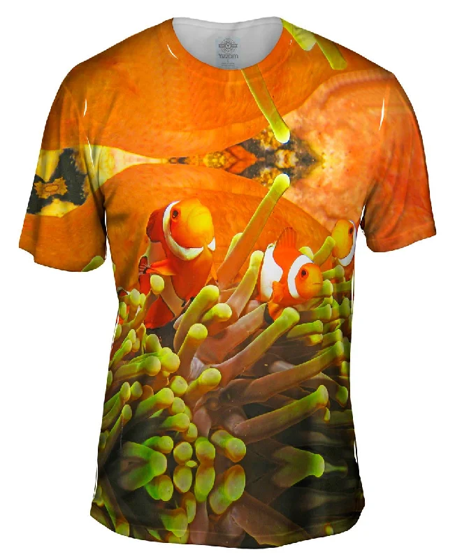 Crazy Deal Anemone Fish Underwater