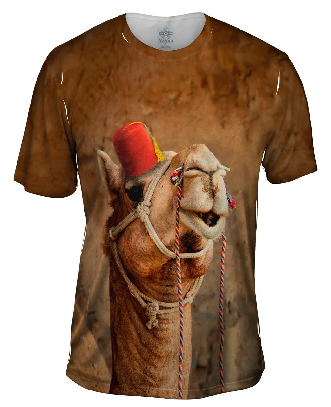 Stock Up Arabian Fez Camel