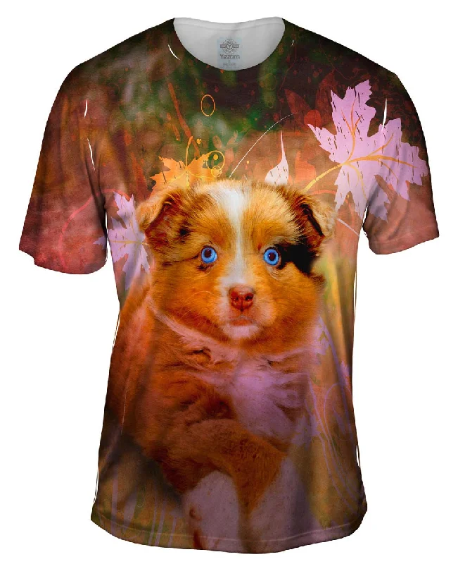 Discount Mania Australian Shepherd Puppy