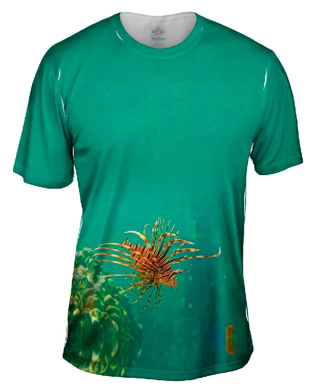 Unbeatable Prices Baby Lionfish Underwater