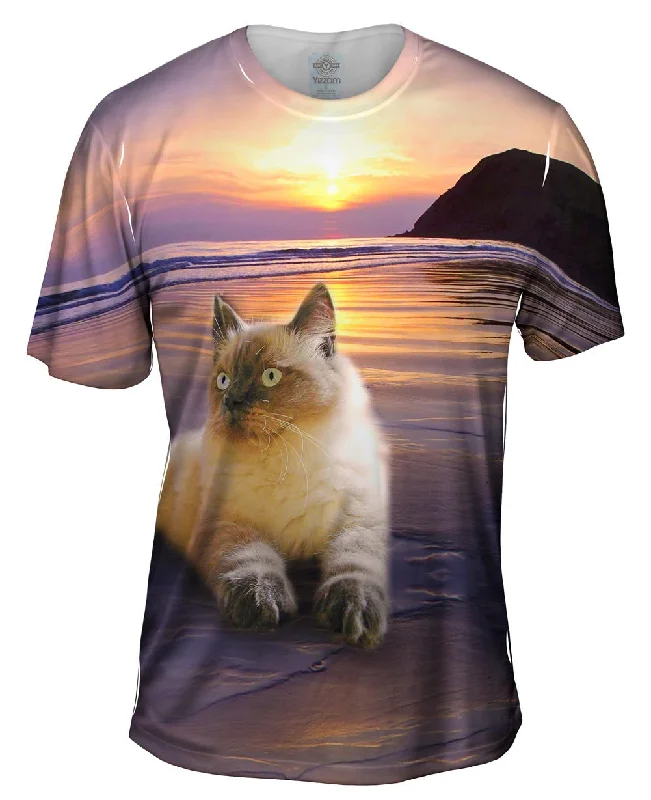 Weekend Offers That Amaze Beach Beauty Kitty Cat