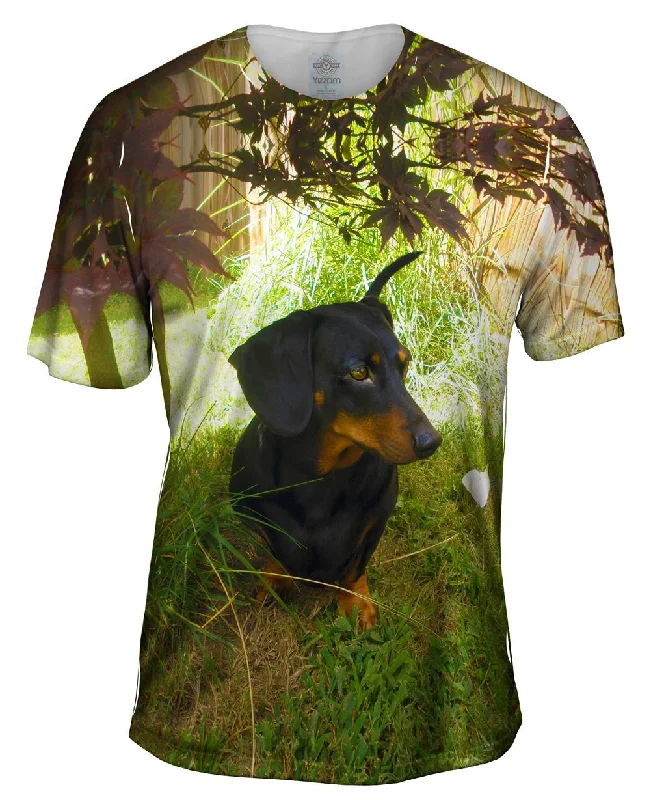 Discount Extravaganza Black Dachshund Backyard