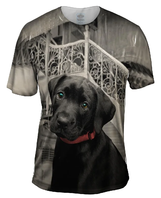 Price Smash Black Lab Puppy