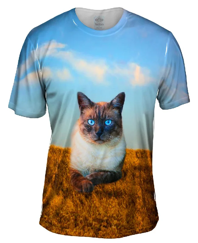 Weekend Discounts to Savor Blue Eyed Cat For President
