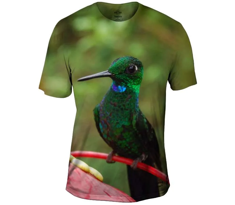 Extra Savings Blue Green Bird