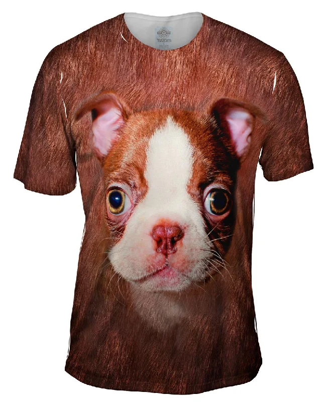Don’t Miss Out Boston Terrier Face