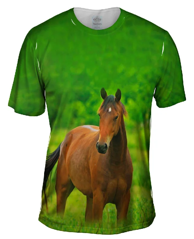 Price Drop Boundless Horse