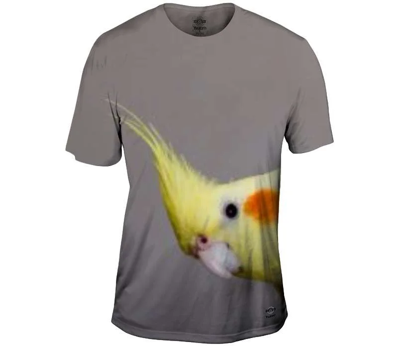 Bargain Prices Bowing Cockatiel Parrot