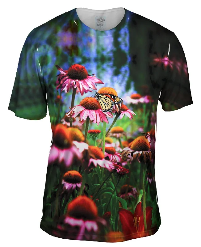 Weekend Offers That Please Butterfly 001