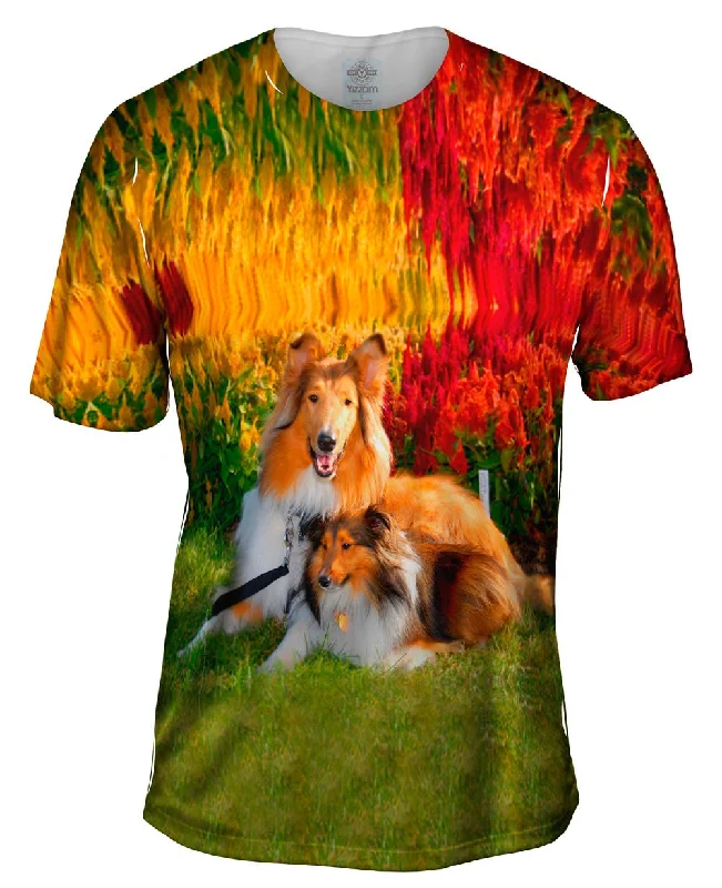 Weekend Specials to Indulge In Clever Sitting Collies