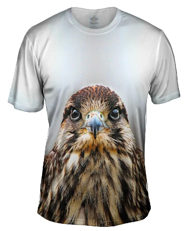 Weekend Offers That Shine Cool Falcon