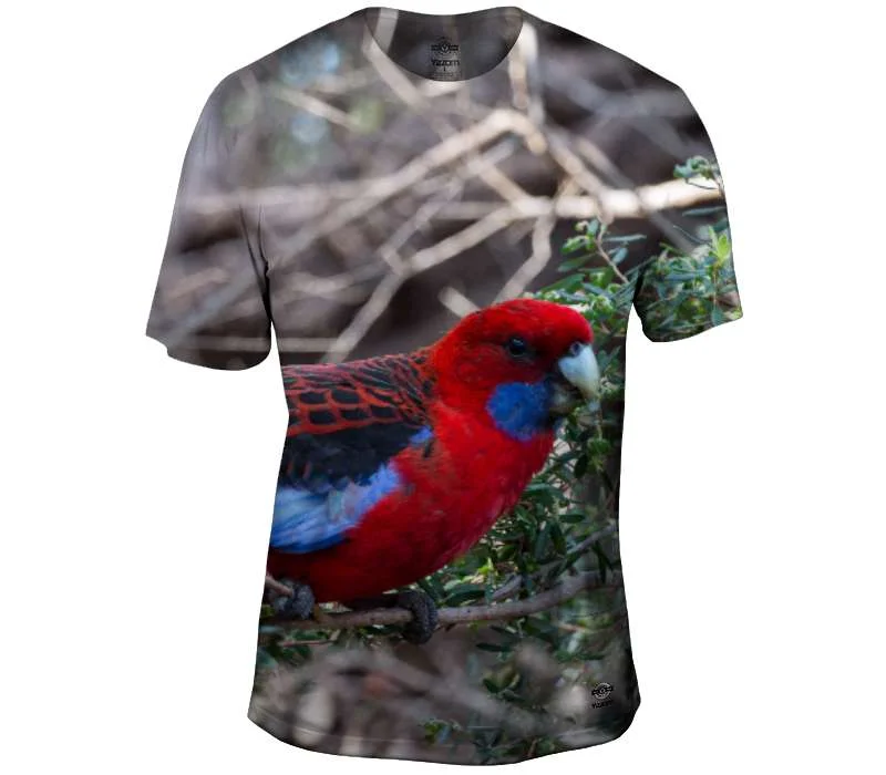 Early Access Crimson Rosella