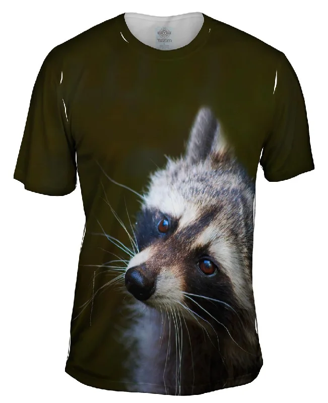 Weekend Discounts to Delight Curious Brown Raccoon