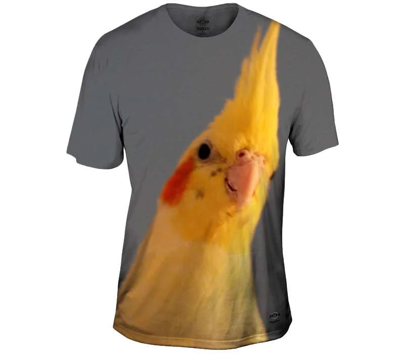 Big Discounts Curious Cockatiel Parrot