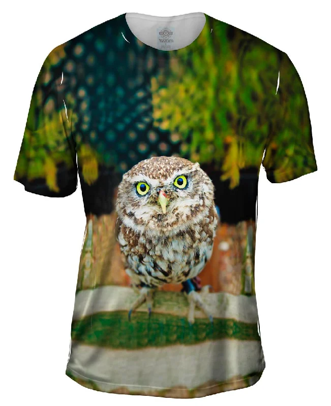 Weekend Shopping Bliss Curious Owl