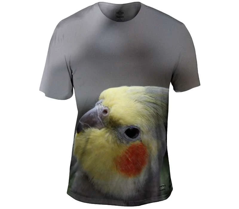 Price Drop Alert Cute Cockatiel Parrot