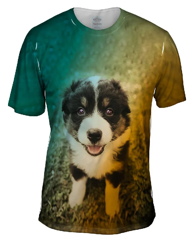 Weekend Savings Spree Cute Herd Puppy