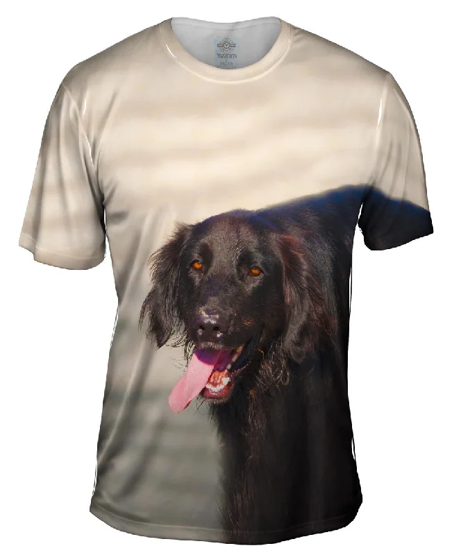 Savings Galore Dog Tired
