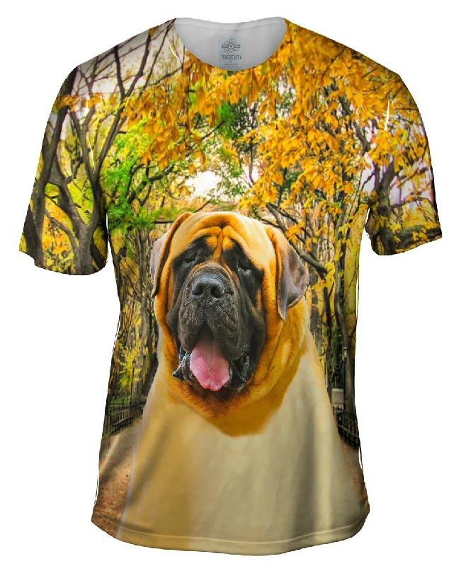 Online Exclusive Droopy Faced Mastiff