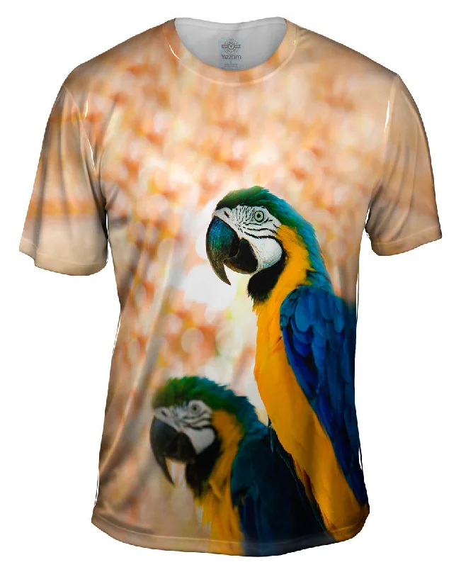 New Deal Duo Macaw