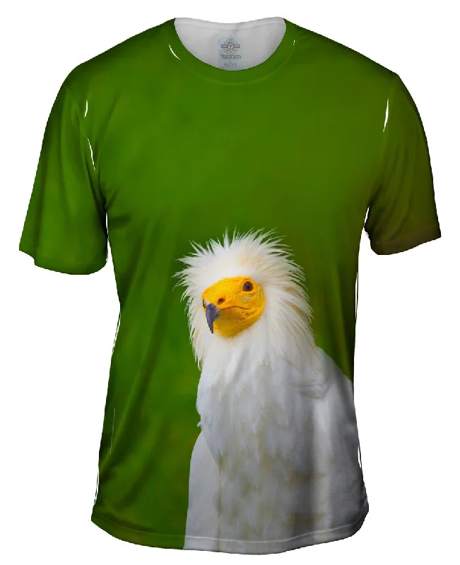 Extra Savings Egyptian Vulture