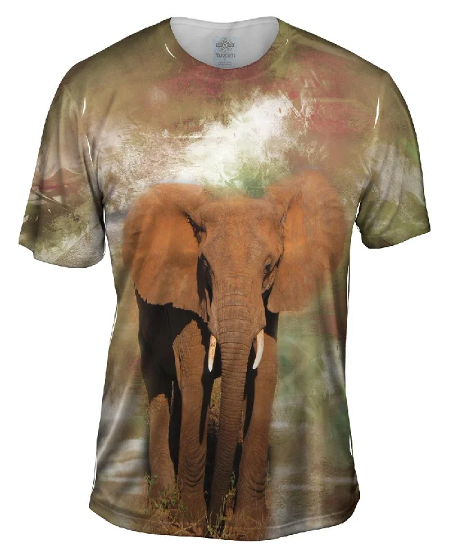 Closeout Deal Elephant 001