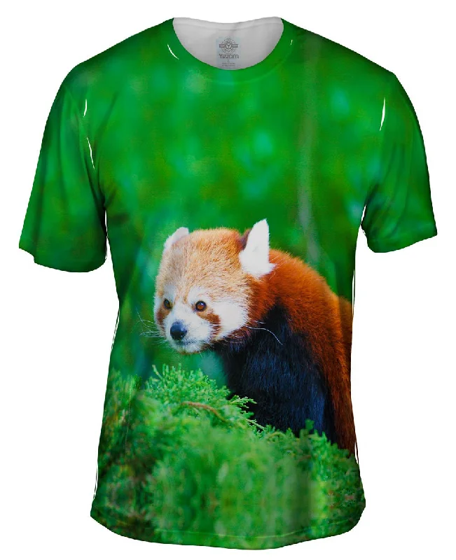 One-Day Only Fancy Red Panda