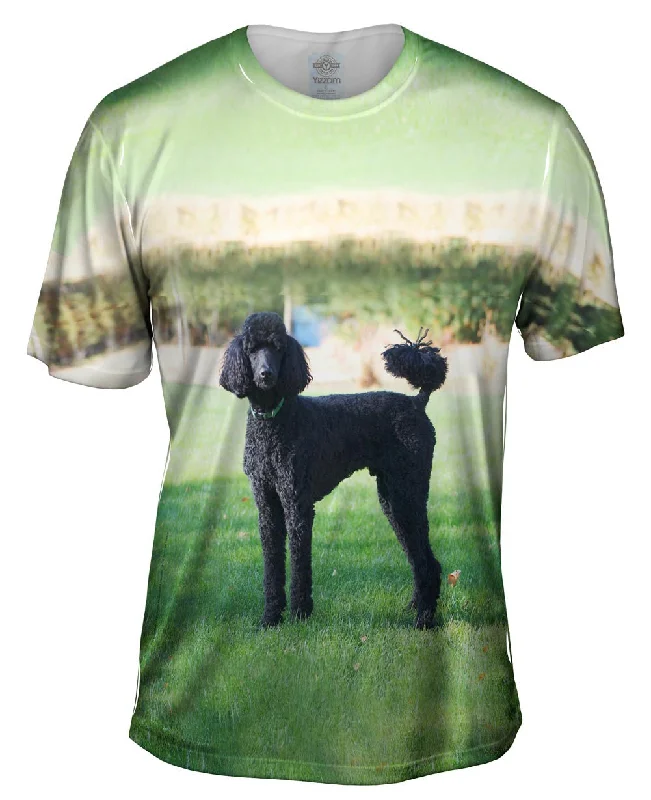 New Arrival Fearless Black Poodle