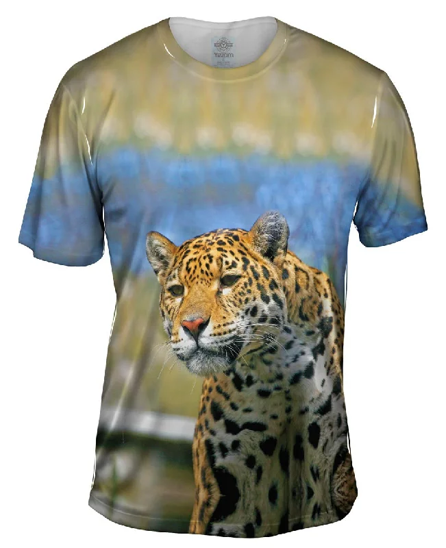 Massive Savings Fearless Jaguar