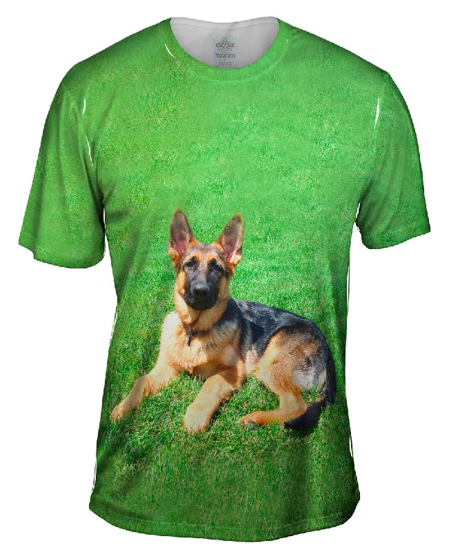 German Shepherd On Grass