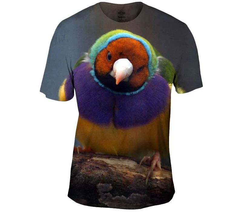 Discount Deals Gouldian Finch Looking At You
