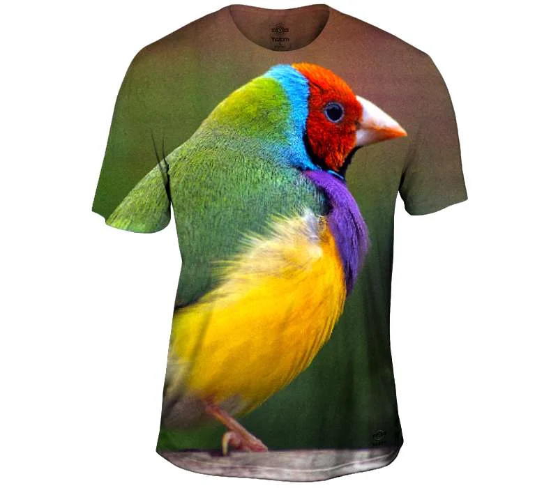 Daily Deals Lady Gouldian Finch