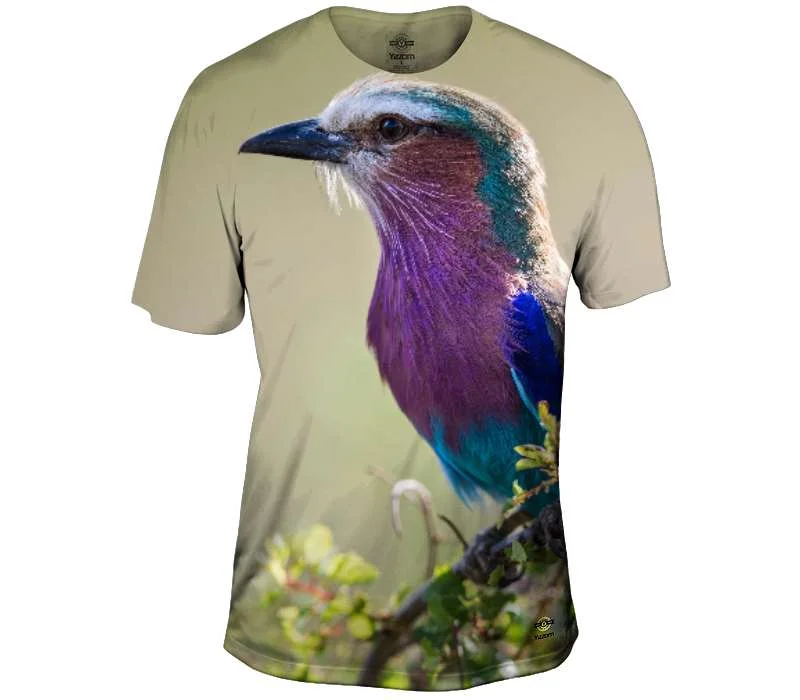 Can't Miss Lilac Breasted Roller on a Branch