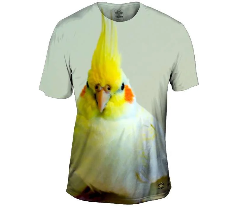 Price Break Little Yellow Cockatiel