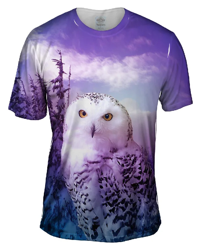 Owl 001