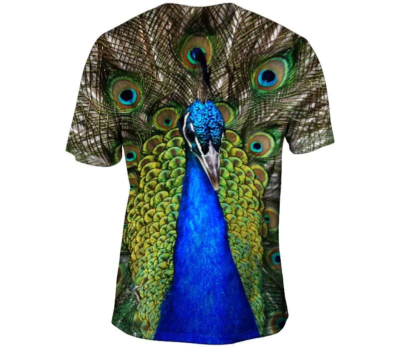 Act Fast Peacock Showing Off