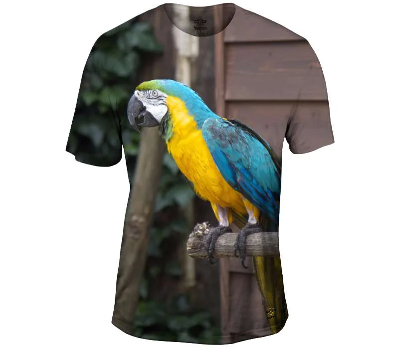 Weekend Deals That Sizzle Pretty Parrot