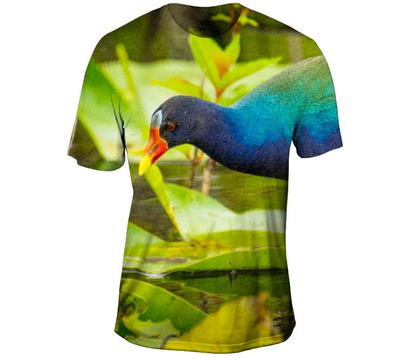 Weekend Bargains to Indulge In Purple Gallinule