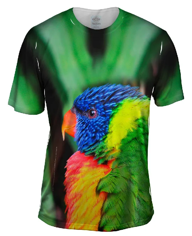 Rainbow Parrot