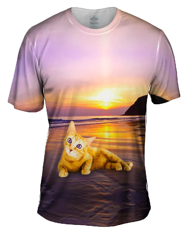 Smooth Sunset Kitty Cat