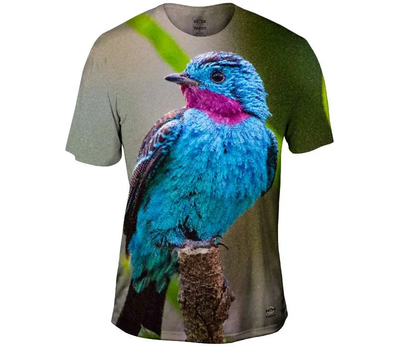 Weekend Deals That Spark Spangled Cotinga