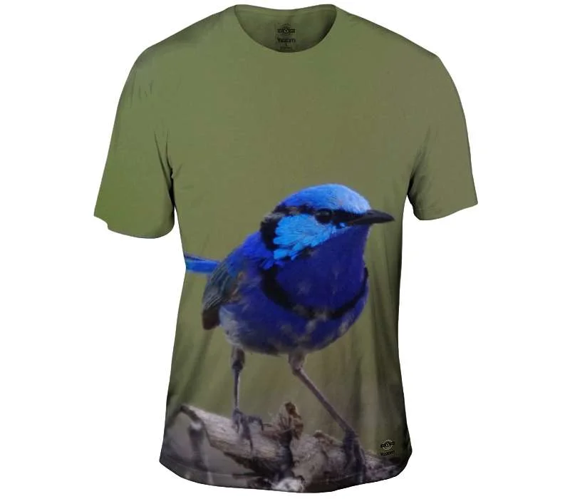 Weekend Discounts to Enjoy Splendid Fairy Wren