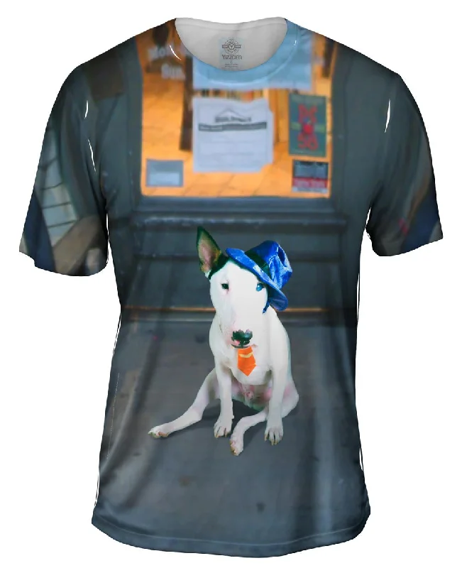 Storefront Bull Terrier