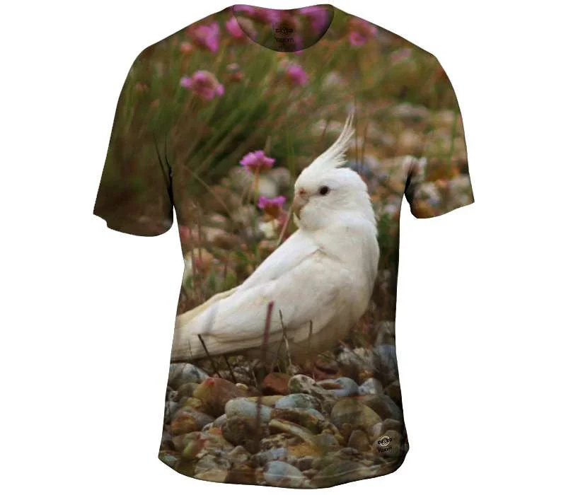 Deal Explosion White Cockatiel
