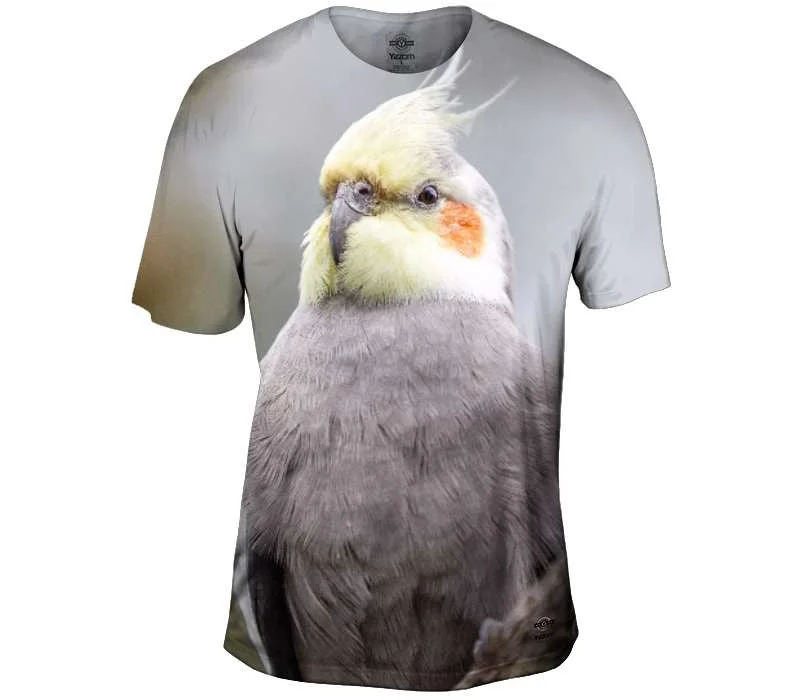 Price Meltdown Wild Cockatiel