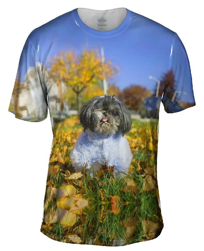 Winking Shih Tzu